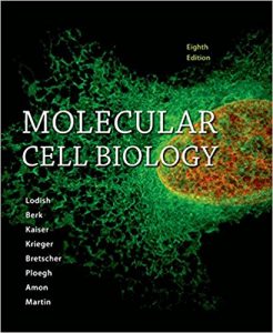 Molecular Cell Biology Lodish 8тh Edition Pdf Free Download