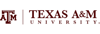 2020 Best Online Colleges in Texas