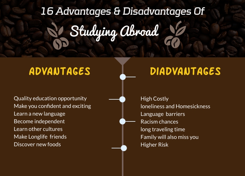 16 Advantages and disadvantages of studying abroad | My Study Abroad Tips