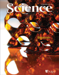 Careers in Biomaterials Science—an Overview | Science | AAAS