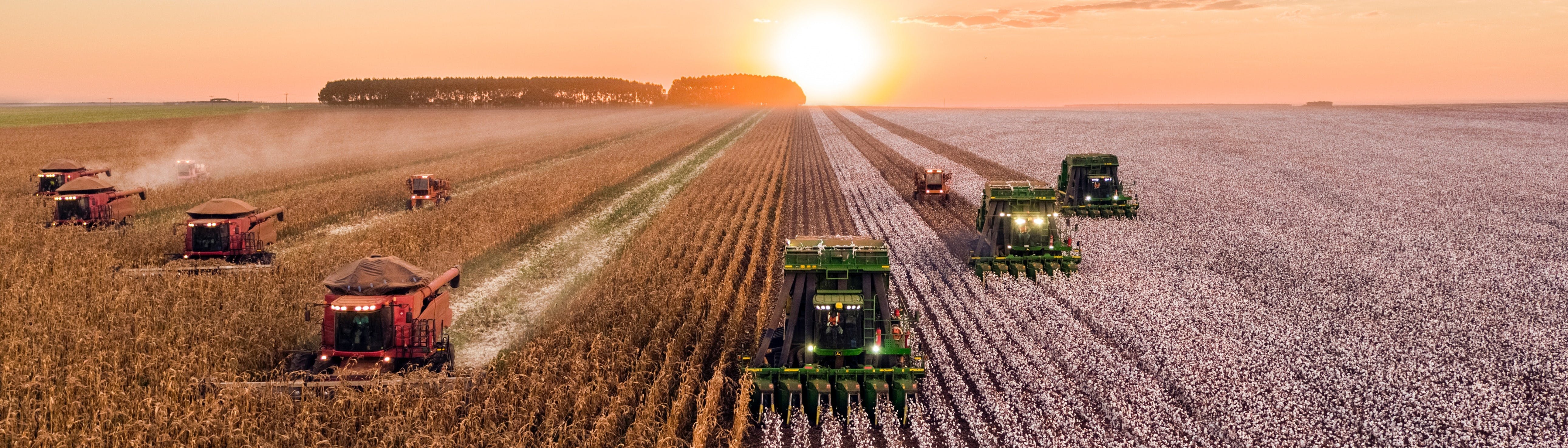 Why You Should Study a Master's in Agricultural Economics in 2021 -  MastersPortal.com
