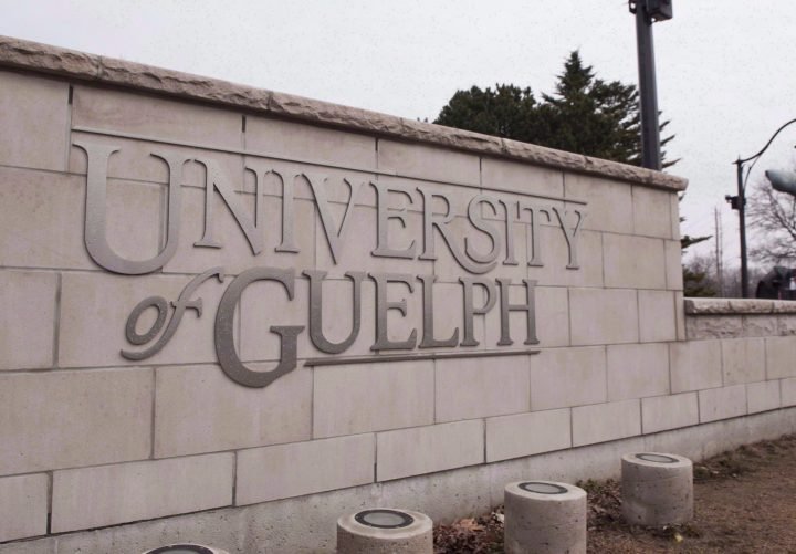 Image result for University of Guelph