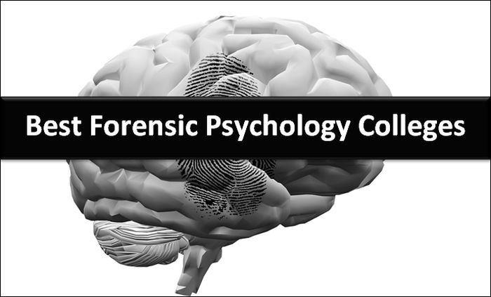 Best Forensic Psychology Colleges - 2021 HelpToStudy.com 2022