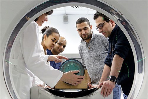 International Centre for Theoritical Physics (ICTP) Master in Medical  Physics Programme 2020 | Opportunity Desk