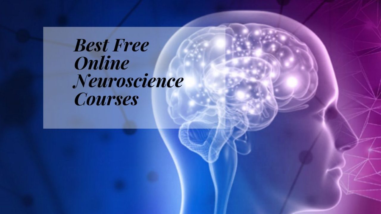 Best Free Online Neuroscience Courses - FreeEducator.com