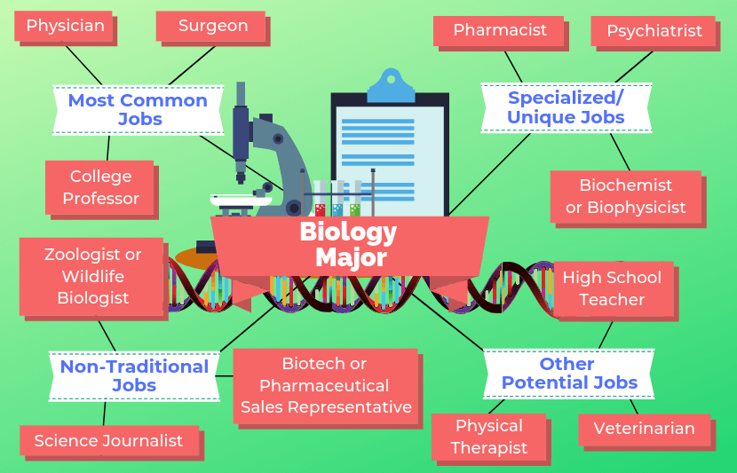 12 Jobs For Biology Majors | The University Network