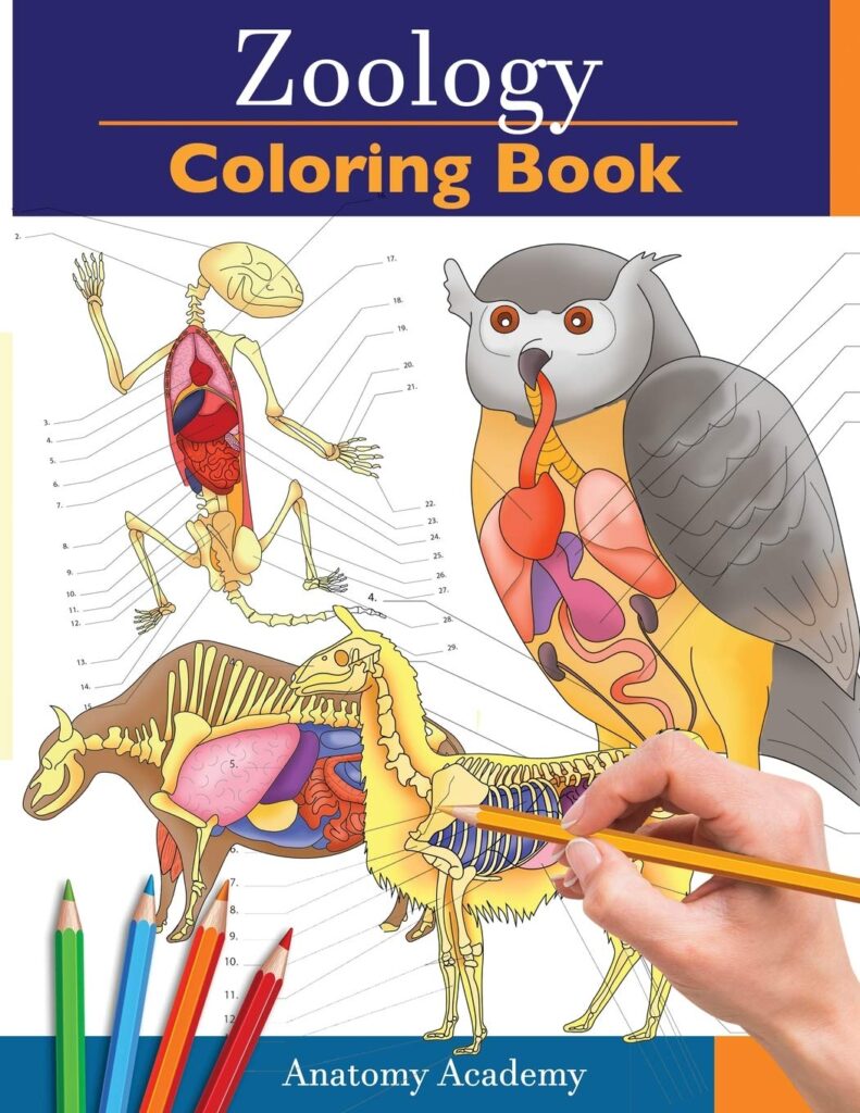 Zoology Coloring Book PDF Free Download   INFOLEARNERS