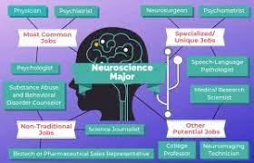 what can you do with a masters in neuroscience – College Learners