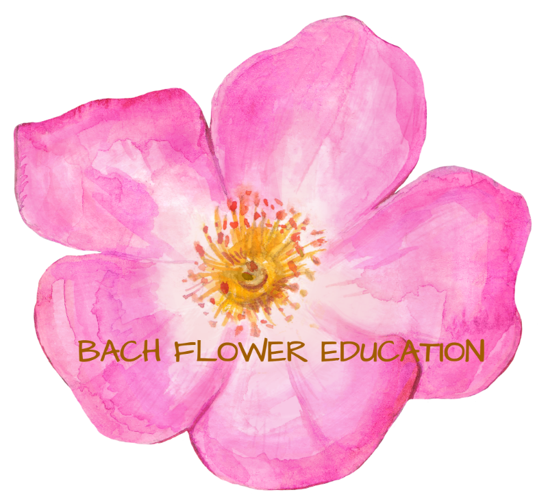 Bach Flower Education | NCBTMB