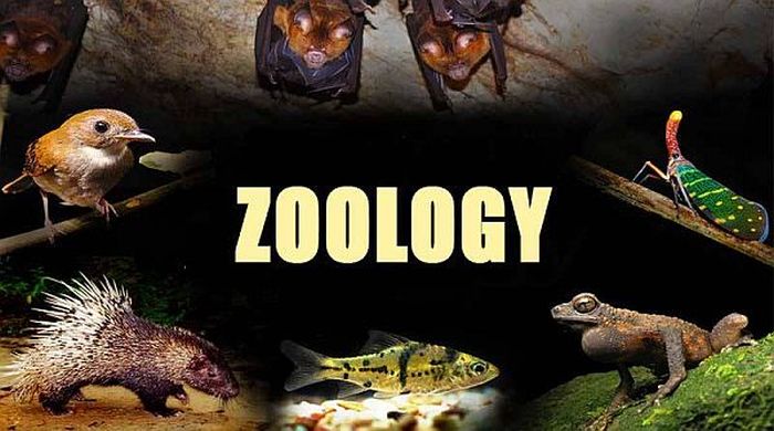 Best Zoology Colleges in the World - 2021 HelpToStudy.com 2022