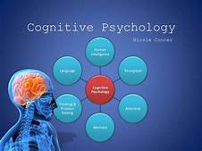 Image result for cognitive psychology 
